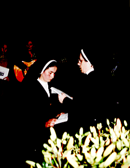 Sonia5.gif (18113 bytes)